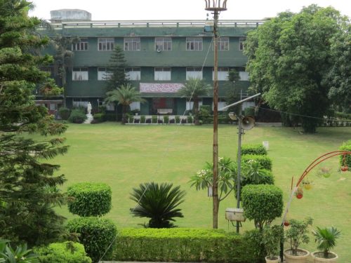 GARDEN
